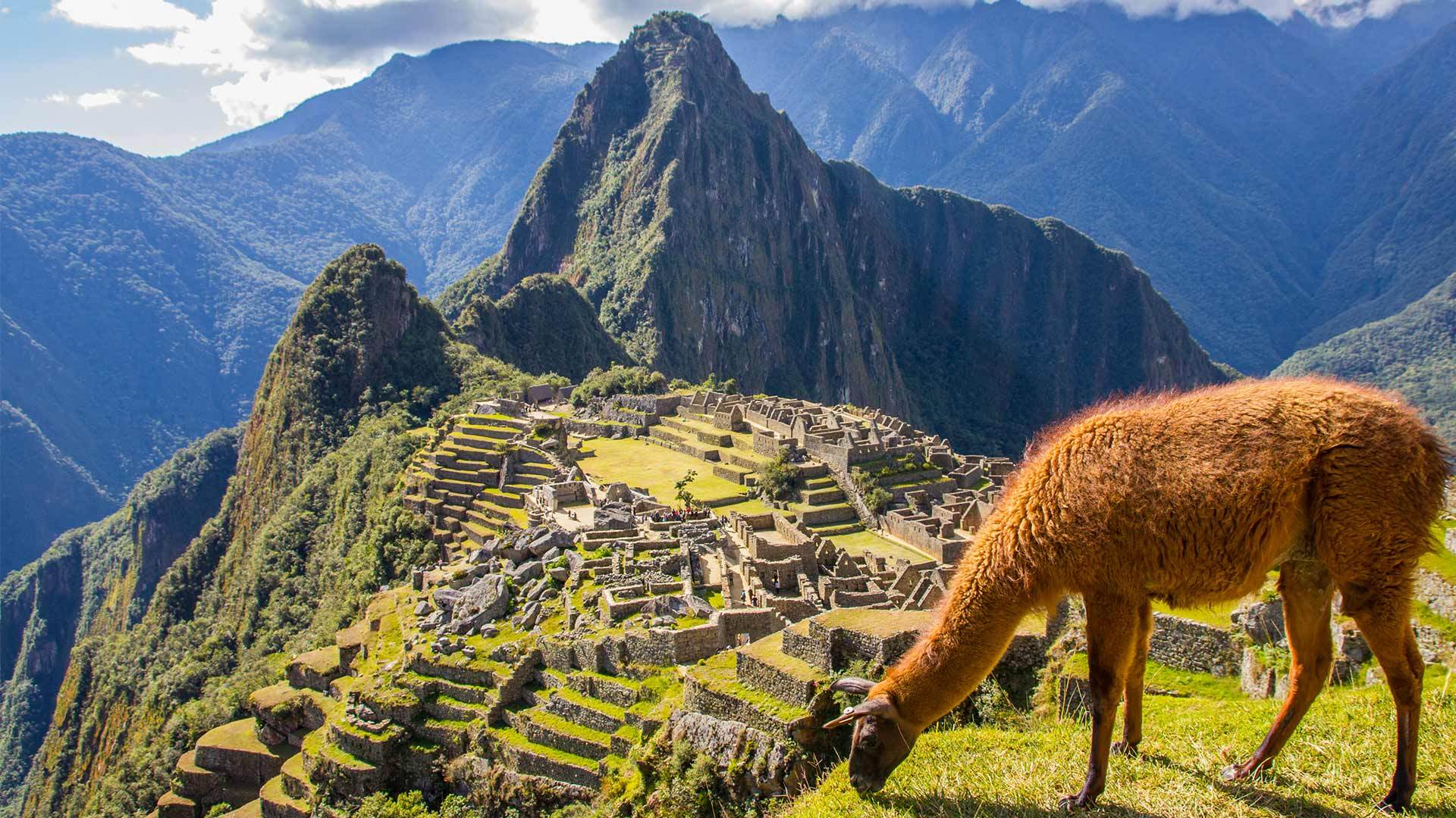 Machupicchu (6)